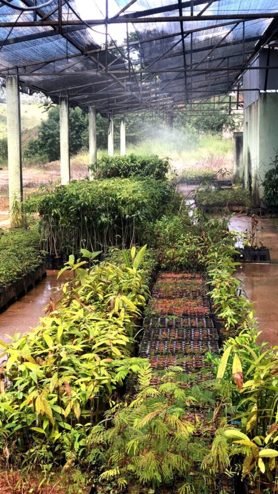 Fazenda Experimental busca reflorestar entorno da represa de Chapéu D'Uvas 3 FAZENDA EXPERIMENTAL divulgacao 6