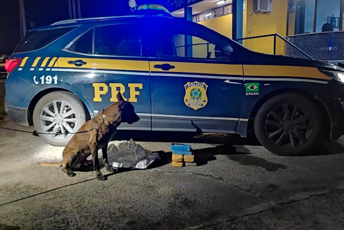 Homem é preso com cocaína avaliada em R$ 1,5 milhão entre SP e Minas 1 apreensao pouso alegre by pcmg