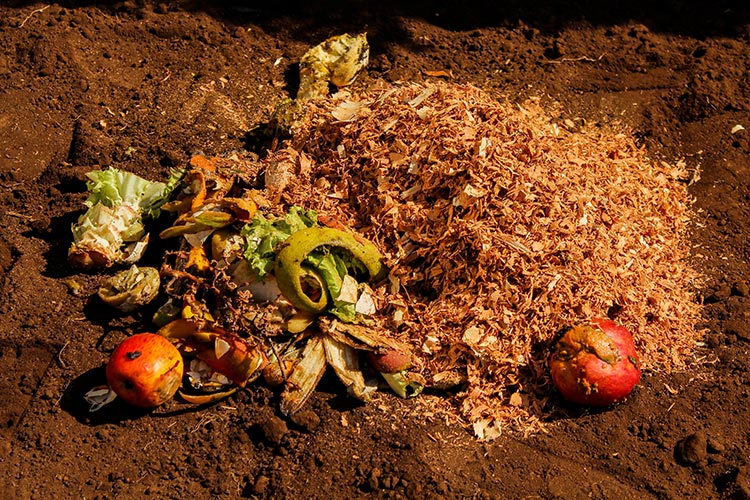 Novo fim para o lixo: aprenda a fazer compostagem em casa 2 compostagem