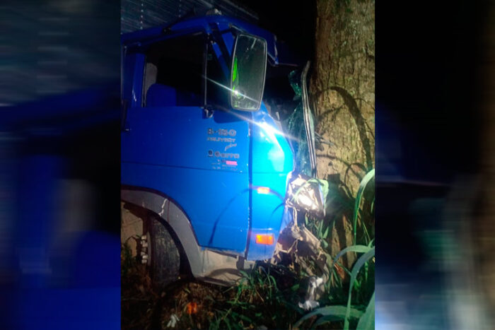 Motorista de caminhão morre em acidente na MG-353 1 acidente