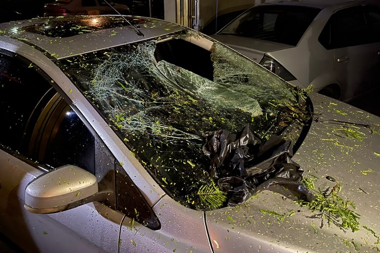 Árvore cai sobre carro e deixa jovem ferida na Zona Sul de JF 1 arvore caida rua D 2 gabriel magacho