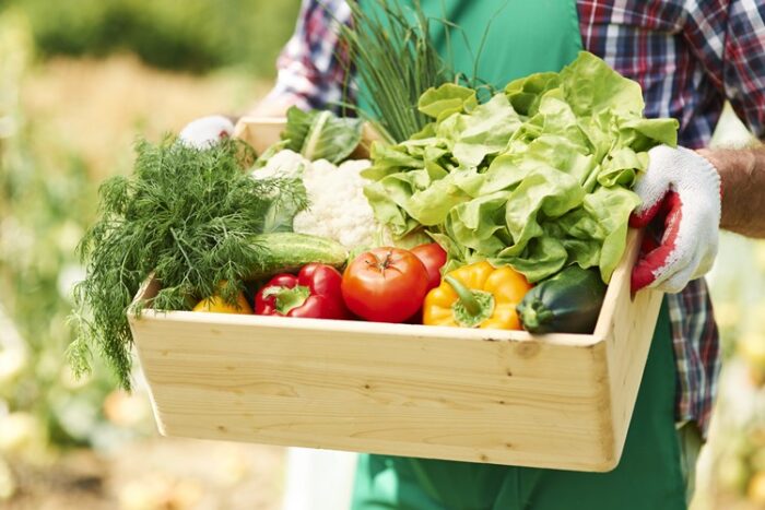 Edital para compra de alimentos de agricultura familiar é aberto 1 legumes vegetais organicos freepik