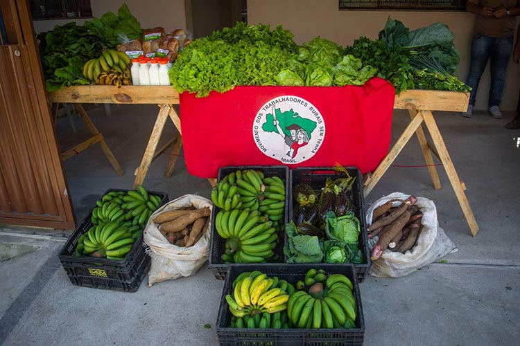 MST inaugura loja com produtos da agricultura familiar no Centro de JF 1 loja MST divulgacao