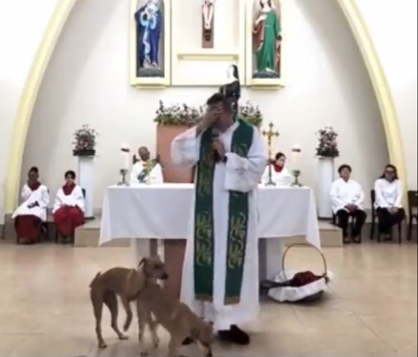 Vídeo de padre Pierre viraliza nas redes sociais 1 print padre pierre missa do impossivel 1