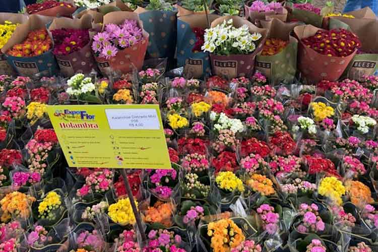 Juiz de Fora sediará 19ª Feira de Flores de Holambra em julho 1 Holambra Divulgacao