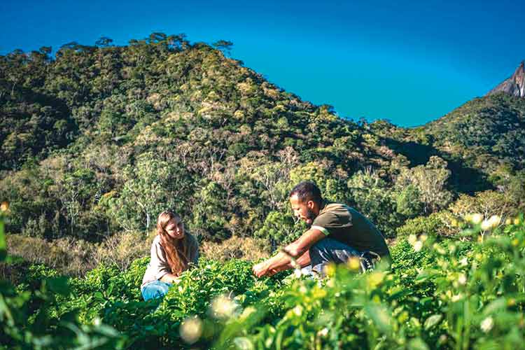 Hortifrúti adota métodos para evitar desperdício de alimentos 1 biosfera hortifruti divulgacao natural da terra