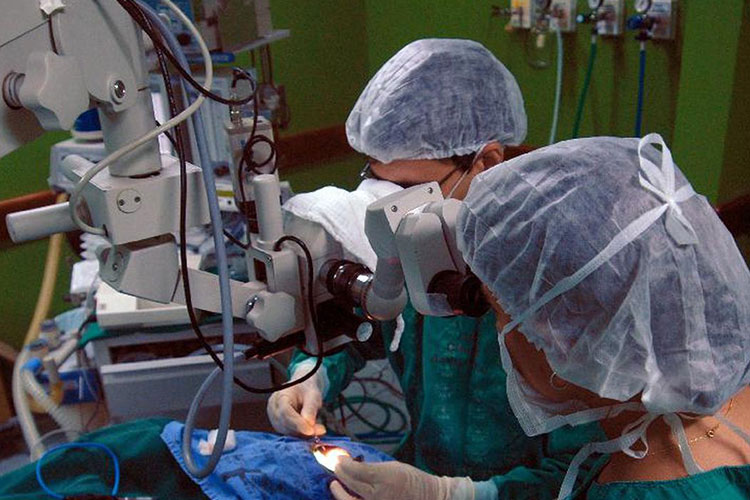 Cerca de 6 mil mineiros aguardam em fila de espera para transplante 1 transplante