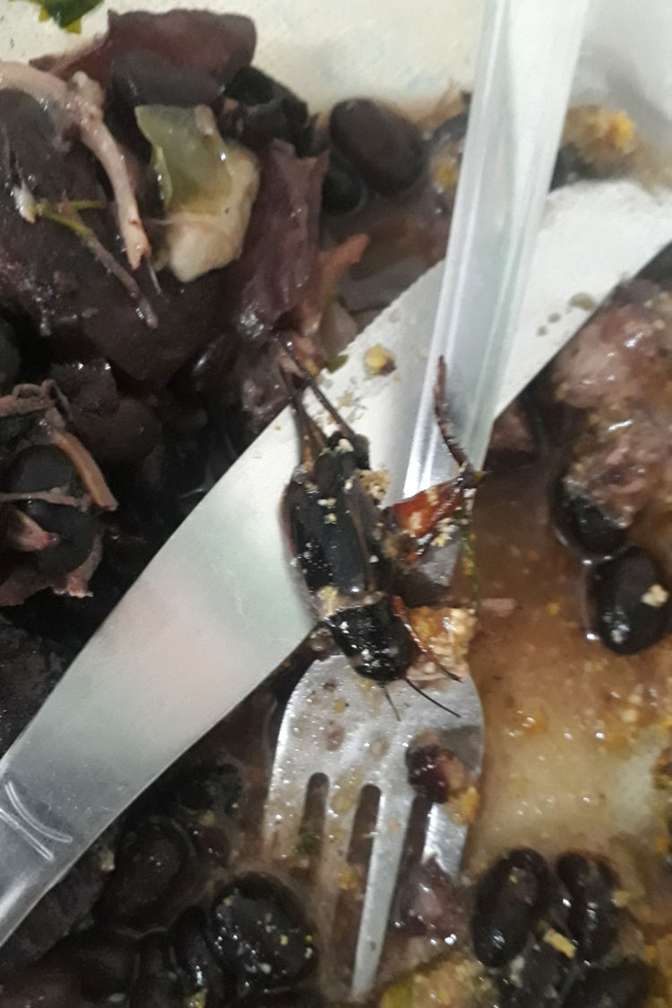 Servidores denunciam alimentação precária em unidades prisionais 1 COMIDA POLICIA PENAL Divulgacao 17
