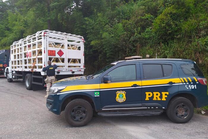 Mais de 350 botijões de gás de cozinha são apreendidos sem nota fiscal em JF 1 caminhao glp foto divulgacao prf