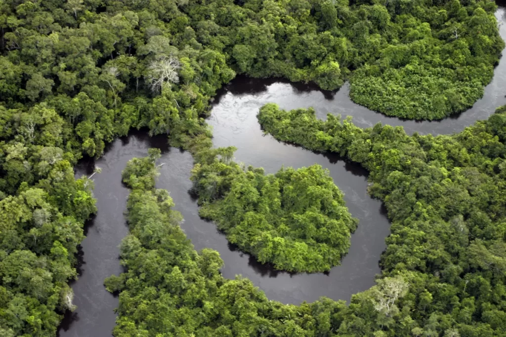 EUA doará US$ 500 milhões ao Fundo Amazônia para combater mudanças climáticas 1 gettyimages 137578327