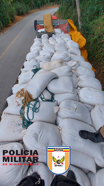 Suspeito de roubar caminhão com sacas de café avaliadas em mais de R$ 300 mil é preso 1 Café roubado