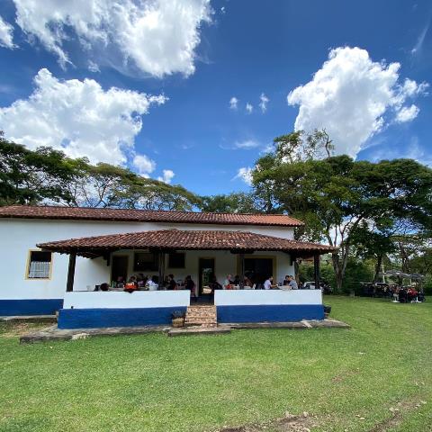 Nativa 7 Nativa 7