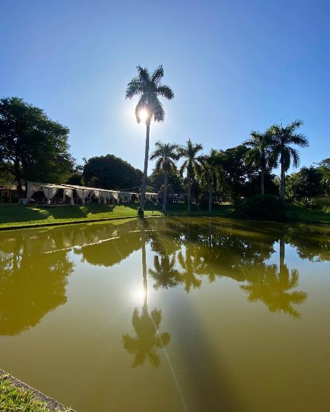Quintal 3 Quintal 3