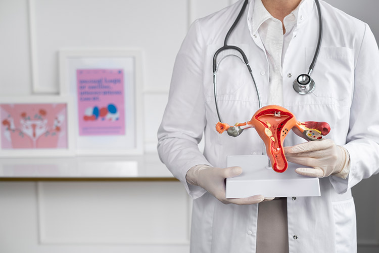 Endometriose: saiba mais sobre os sintomas e o tratamento da doença 2 endometriose Freepik