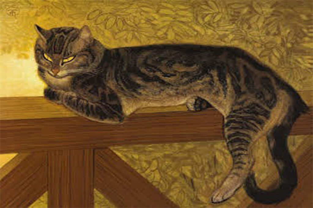 Com gato ou como gato? 1 3miltoques