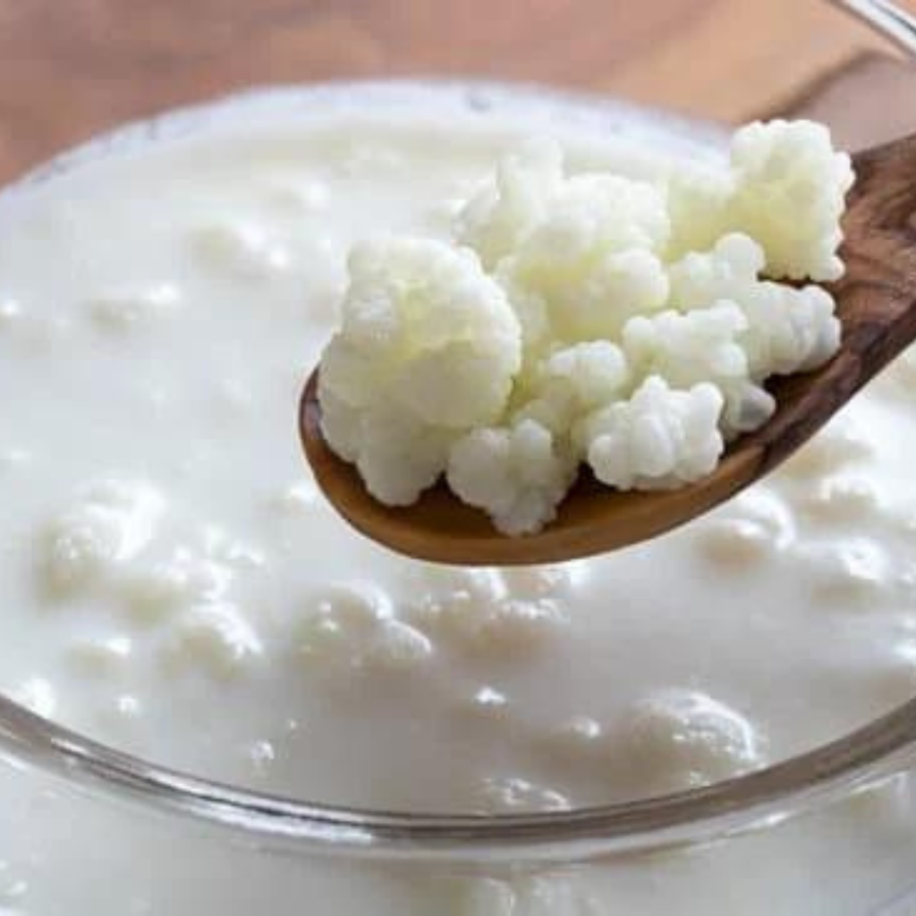 BENEFÍCIOS DO KEFIR PARA A NOSSA SAÚDE 1 Design sem nome 6