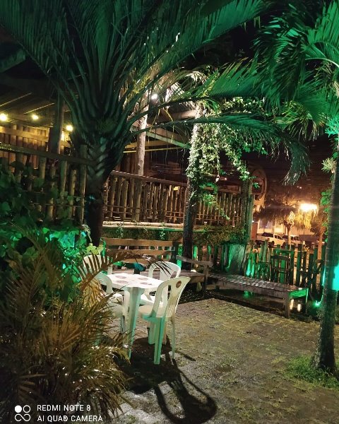 Terraço, Quintal, Varanda, Garagem e Porão 4 Quintal 0
