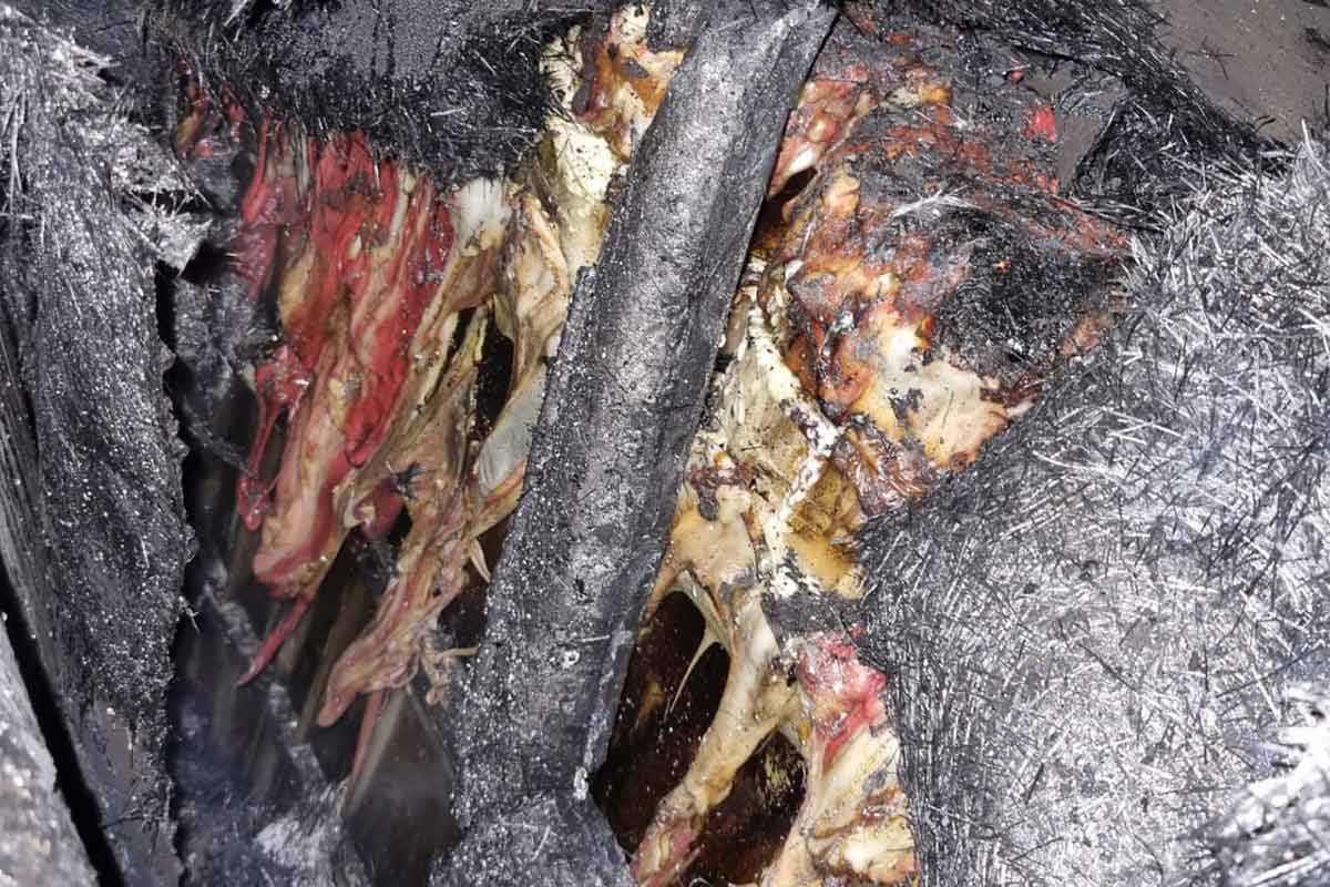 Incêndio atinge caminhonete carregada com queijo e destrói mercadoria 1 acidente carreta queijo 2 divulgacao corpo de bombeiros