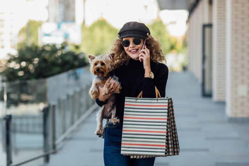 Confira onze dicas para passear com seu cachorro no shopping 1 pet 2 freepk cao no shopping