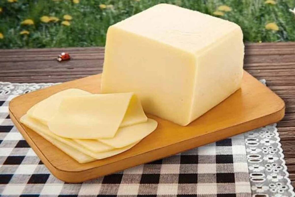 Pesquisa encontra queijos com bactéria e fora do padrão 1 queijo Reproducao Metropoles