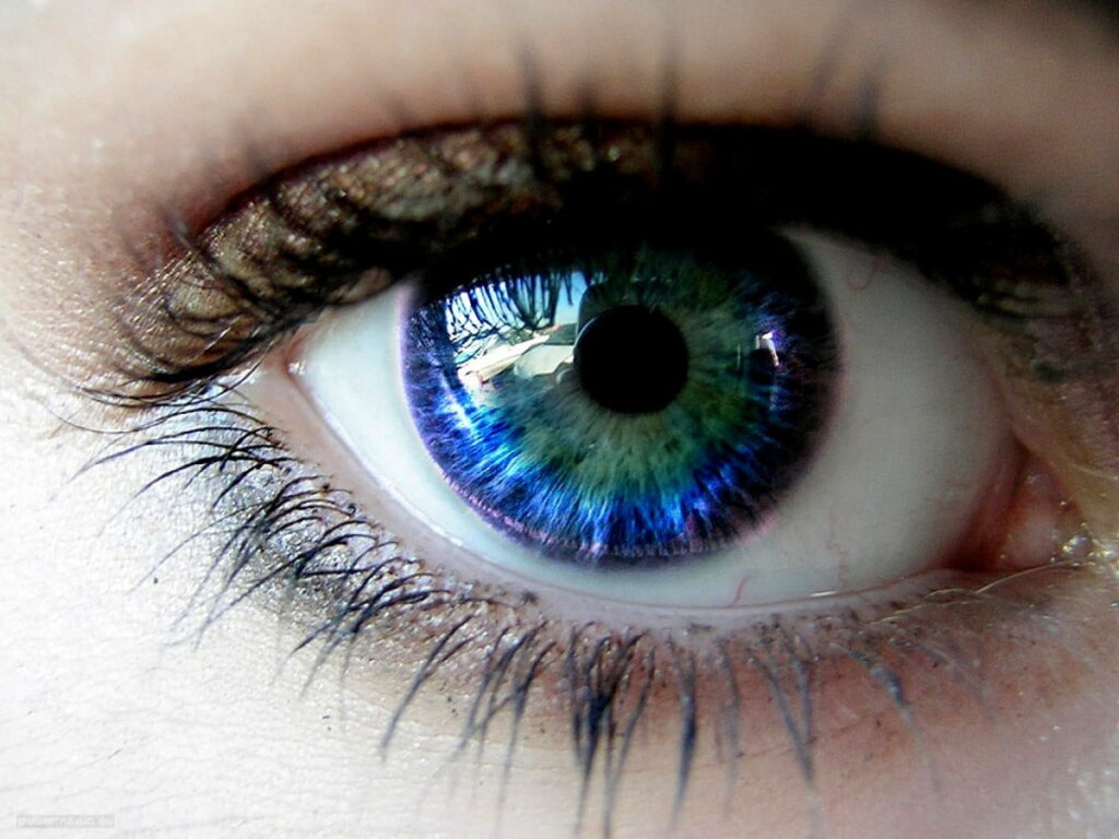 A_explicação_científica_para_a_coloração_dos_olhos_verdes_e_azuis._(6)