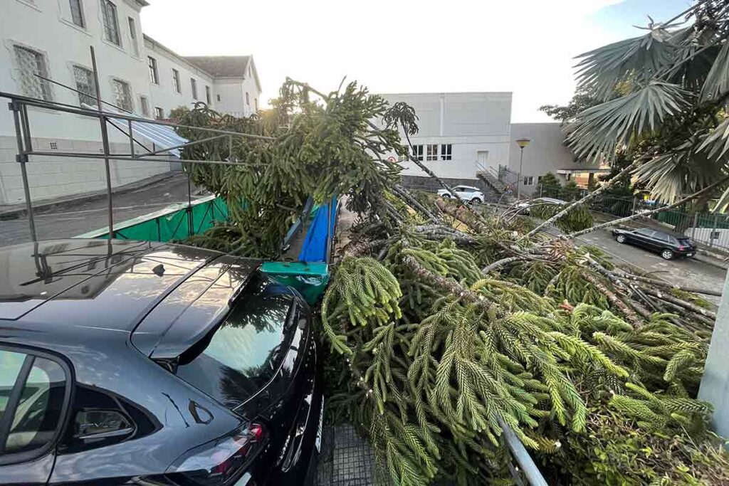 Ventania causa queda de árvores em Juiz de Fora 2 arvore caida Igreja da Gloria Felipe Couri 1