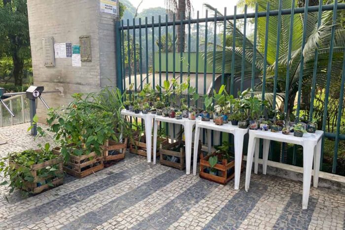 Museu Mariano Procópio oferece atividades de educação ambiental 3 biosfera mariano procopio 2 divulgacao