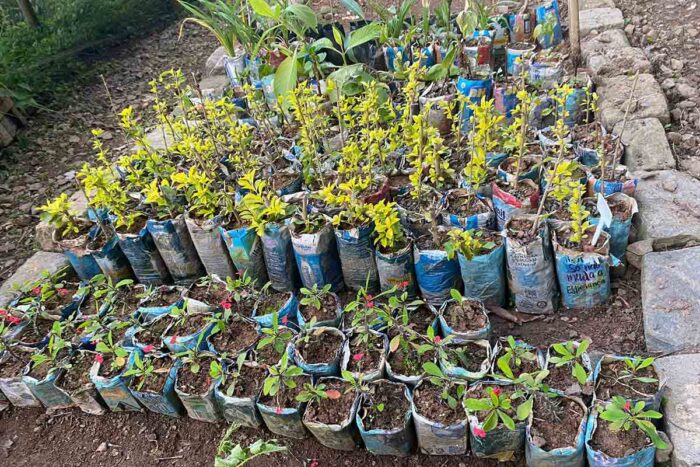 Museu Mariano Procópio oferece atividades de educação ambiental 2 biosfera mariano procopio 3 divulgacao
