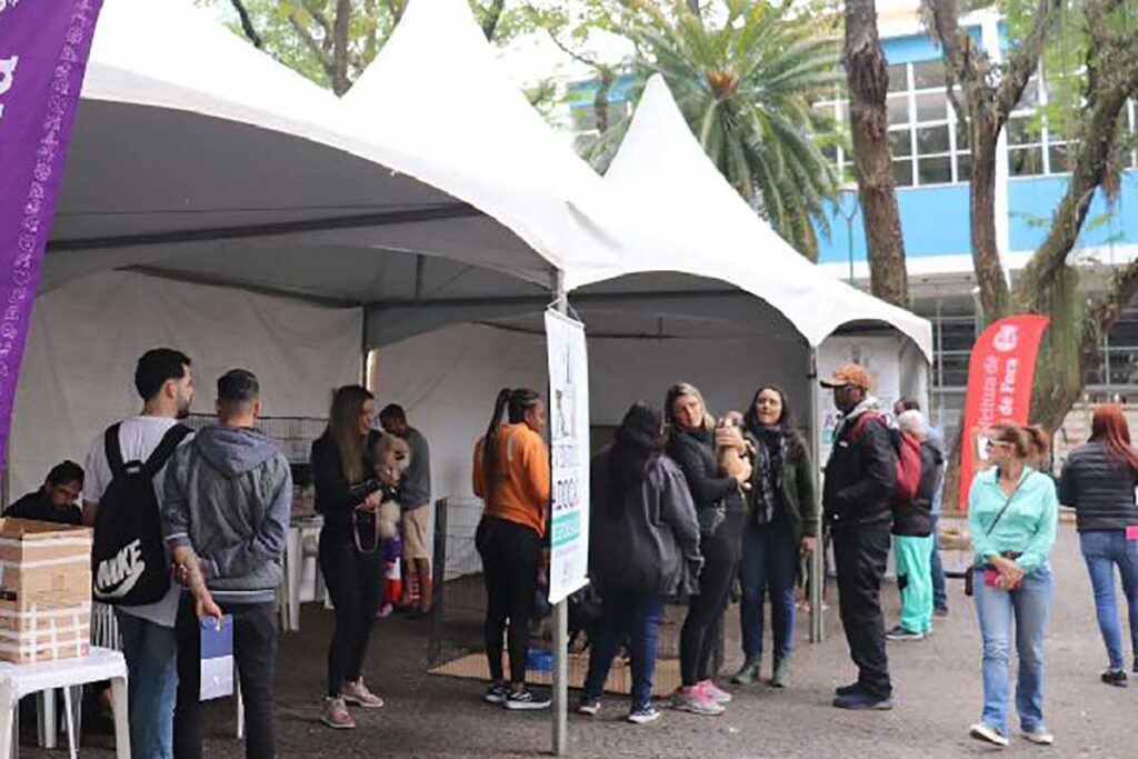 Canil Municipal passa a fazer evento de adoção de 15 em 15 dias 1 Canil Municipal passa a fazer evento de adoção de 15 em 15 dias foto reprodução pjf