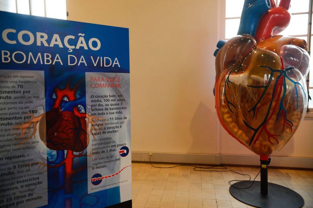 Internações por infarto aumentam mais de 150% no Brasil 1 coracao infarto tomaz silva agencia brasil