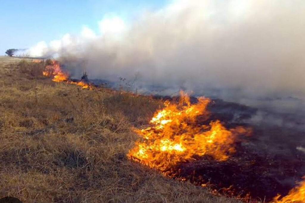 Incêndio atinge vegetação próxima ao Jardim Botânico 2 incendio eldorado foto bombeiros 2