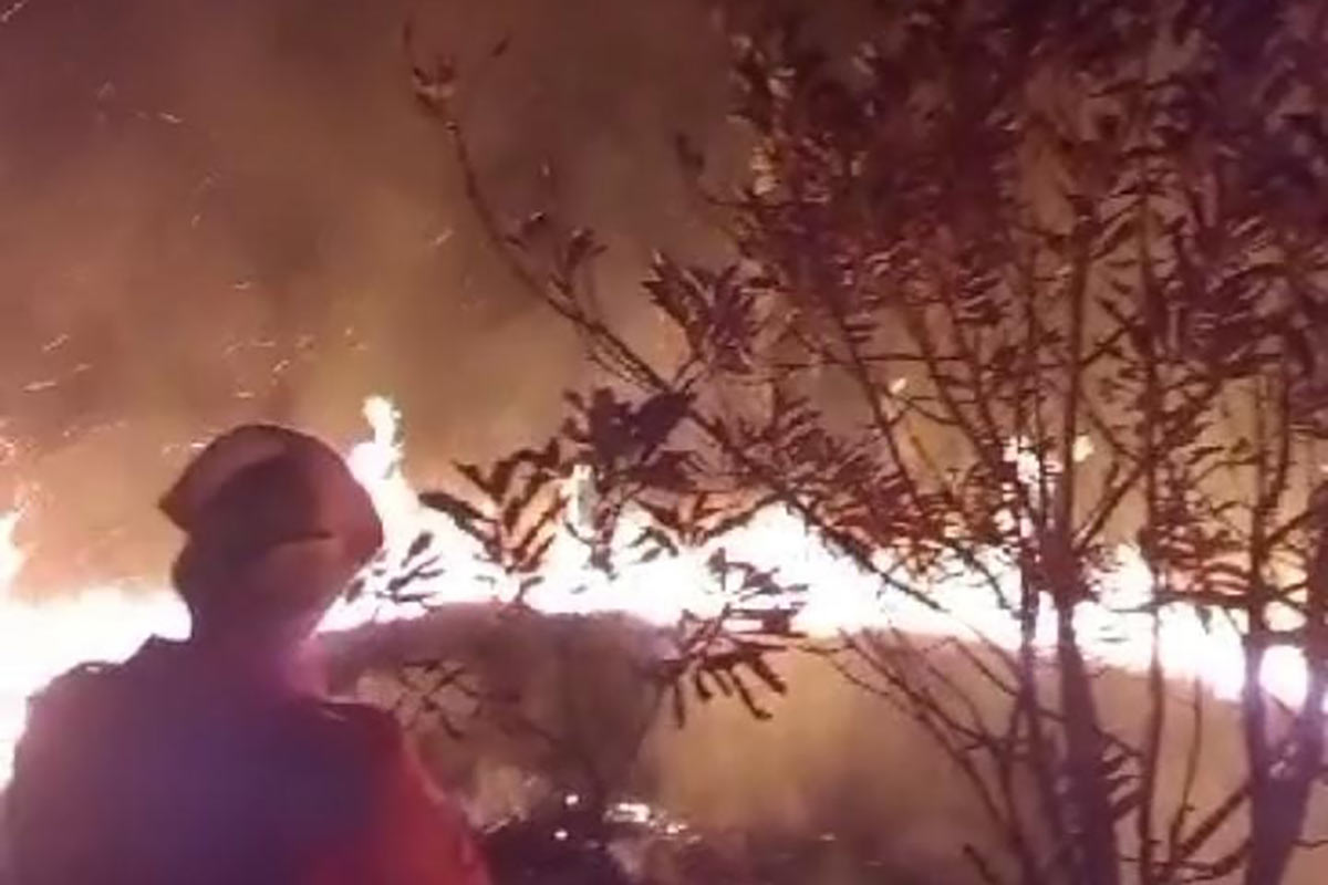 Incêndio atinge vegetação próxima ao Jardim Botânico 1 incendio eldorado foto bombeiros 5