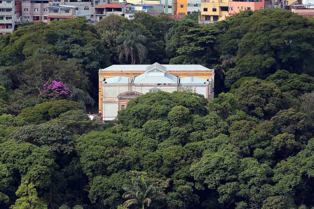 férias programaçao