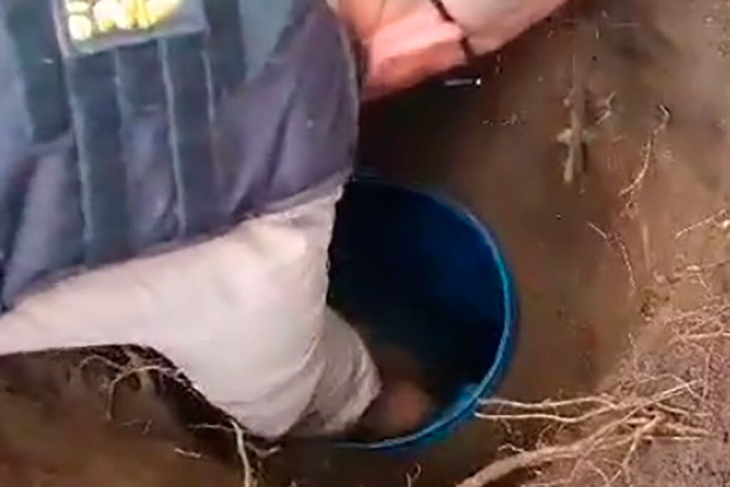 Mais de 20 quilos de maconha são apreendidos enterrados em terreno 1 santo antonio maconha foto pm reproducao