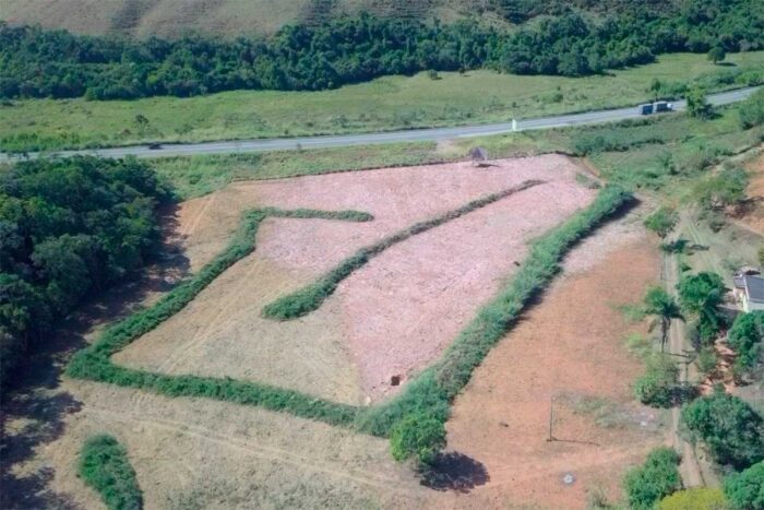 Novo CT do Tupynambás ainda não tem prazo para construção 1 terreno baeta by barbara bisaggio