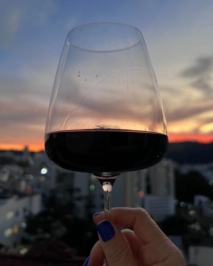 Degustar um vinho é, invariavelmente, apaixonar-se ou não por ele 1 Imagem do WhatsApp de 2023 08 19 as 13.35.34