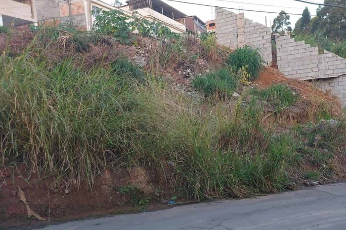 Falta de capina e manutenção incomoda moradores no Parque Independência 1 VIDA URBANA