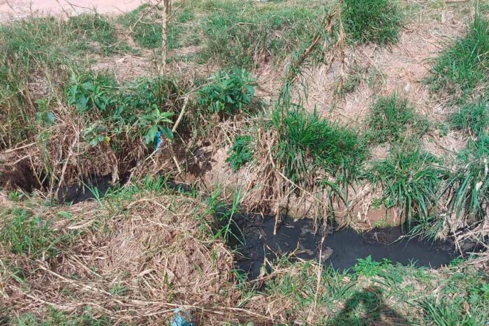 Moradores cobram limpeza e manutenção em córrego no Parque Independência 1 Vida Urbana Carlos Roberto Furlani 1
