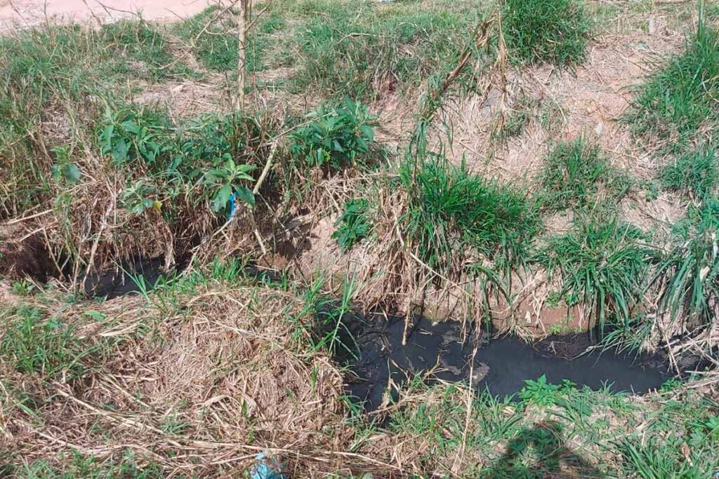 Moradores cobram limpeza e manutenção em córrego no Parque Independência 2 Vida Urbana Carlos Roberto Furlani