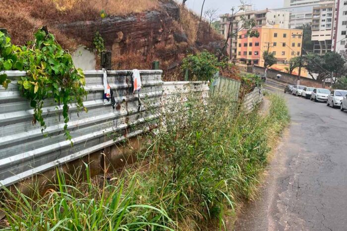 Calçada tomada pelo mato prejudica pedestres na Rua Guaçuí 1 Vida Urbana Tribuna de Minas 1