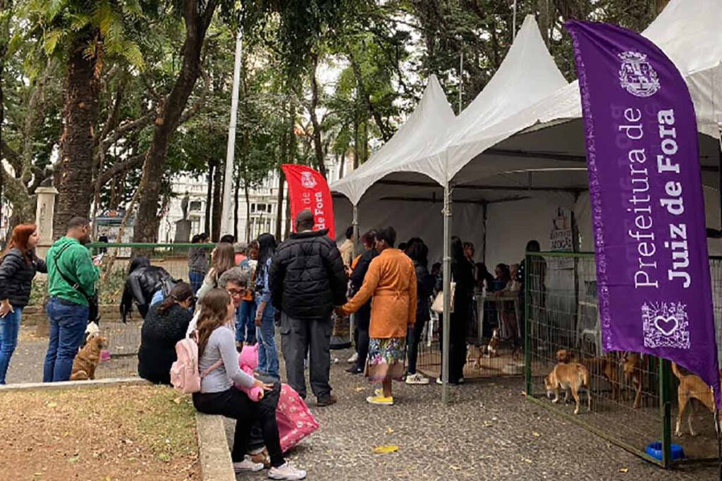 Canil Municipal promove adoção de pets e vacinação antirrábica neste sábado 1 evento de adoção