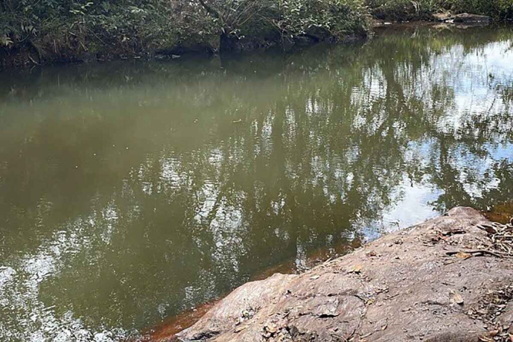 Mãe e duas crianças têm corpos encontrados em açude 2 nazareno mae e criancas afogadas foto bombeiros