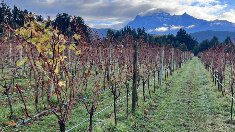 Descubra Chubut, na Patagônia: a Última Fronteira do Vinho Argentino 49 Imagem do WhatsApp de 2023 09 09 as 13.16.46
