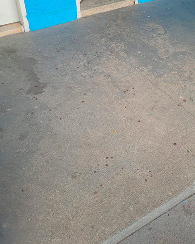 Após briga entre filhas, mãe agride a outra com arma branca em escola municipal 2 agressao escola 1