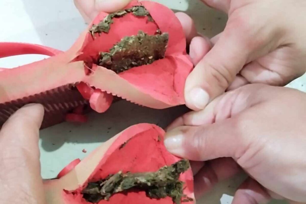 droga dentro de chinelo divulgacao sejusp