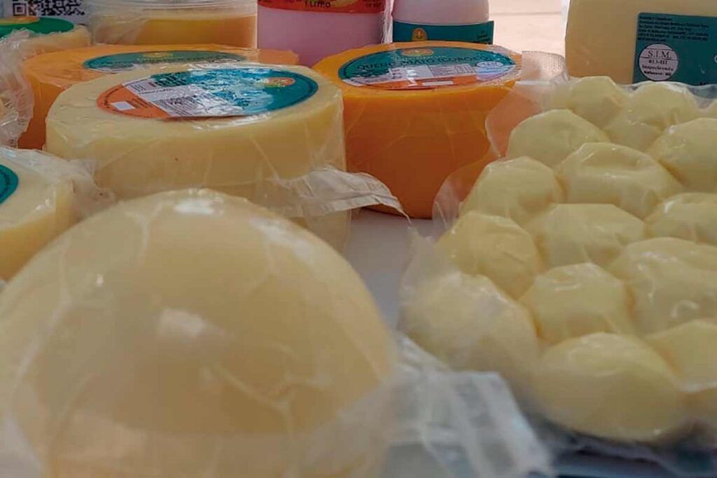 Produção da agricultura familiar de Barbacena movimenta mais de R$ 12 milhões 3 FORCA DO INTERIOR BARBACENA Divulgacao 1
