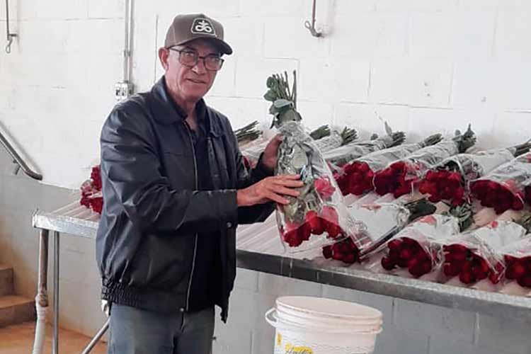 Produção da agricultura familiar de Barbacena movimenta mais de R$ 12 milhões 2 FORCA DO INTERIOR BARBACENA Divulgacao 4
