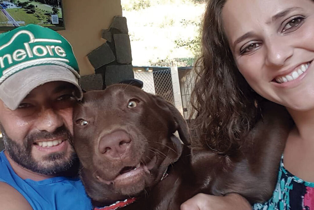 Mercado voltado para pets incorpora serviços funerários 4 serviços funerários pet
