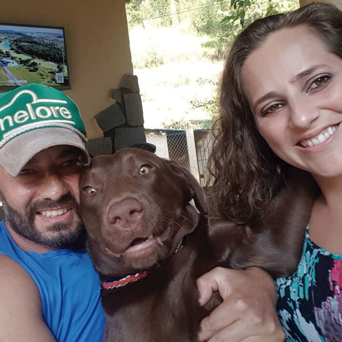 serviços funerários pet