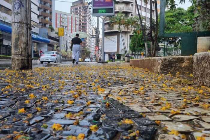 Temperatura aumenta ao longo da semana, mas chuva persiste 1 chuva